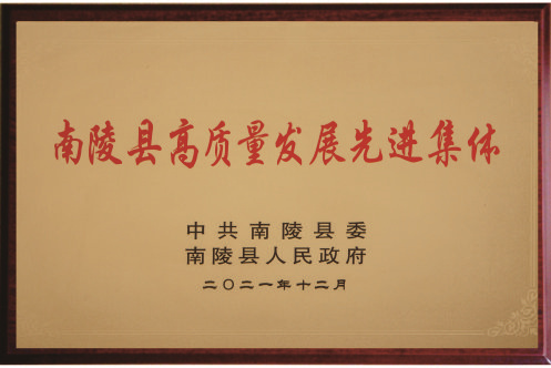 南陵县高质量发展先进集体